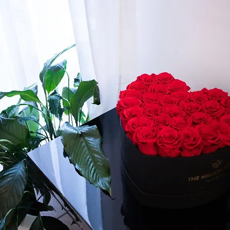 Sant'orsola Appartamento *