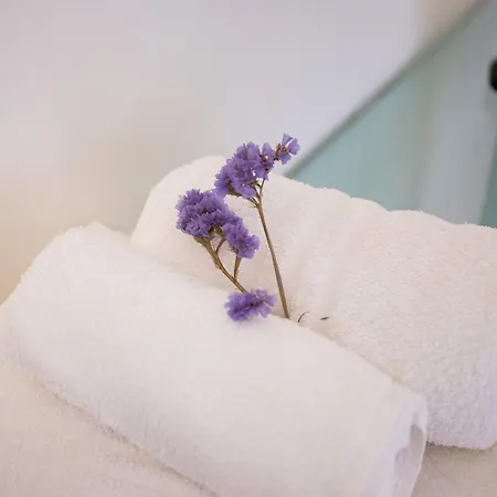 Sant'orsola Appartamento